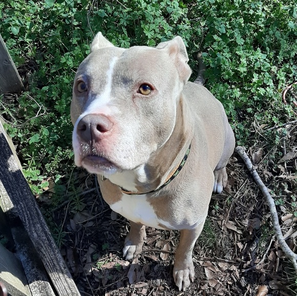 Meet your Posher, Il - Picture 1 of 1